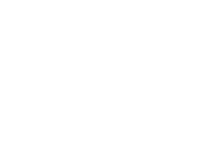 Ícone monteiro