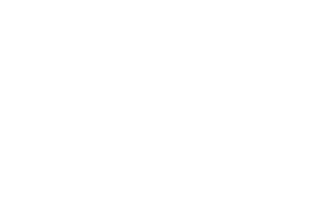 Ícone monteiro